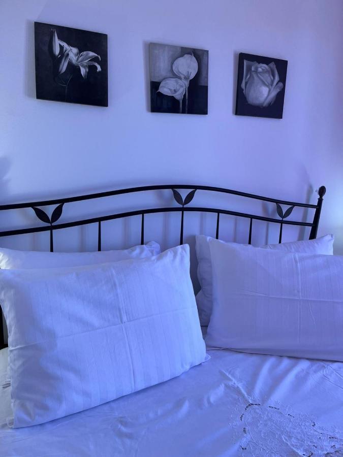 Apartman Gorana With Swimming Pool Jelsa  Eksteriør billede