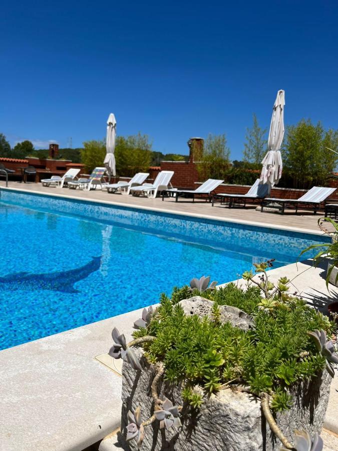 Apartman Gorana With Swimming Pool Jelsa  Eksteriør billede